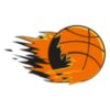 BASKETBALL TEARING RQC
