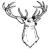DEER008