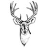 DEER010