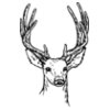 DEER011