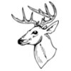 DEER018