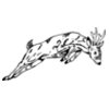 DEER020