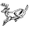 DEER027